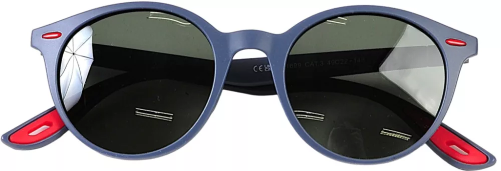 Sunglasses Steel